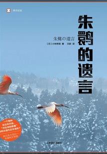 灼炎骑士攻略