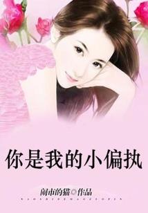 我的世界村庄大战