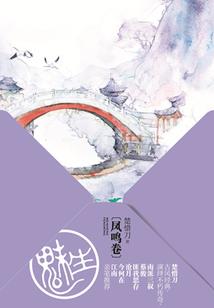 永恒大陆春节套装属性点