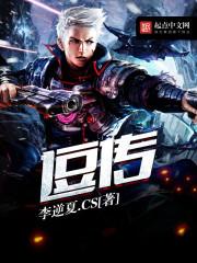 辐射重生合集mod