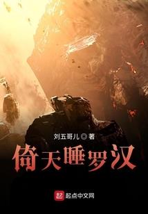 流浪骑士快速升级装备