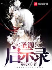 黄金材质包mod