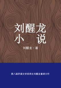 王者容易掉线