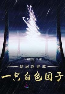 css内边距属性是什么