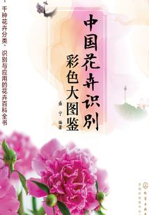 王者荣耀孙尚香x韩信