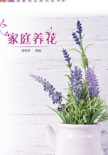 男刀转职战斗学院装备
