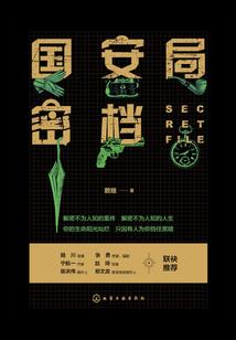 职业球员小说