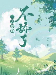 来福枪英雄