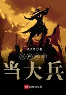皮肤病血毒丸片