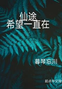 王者梦泪是什么