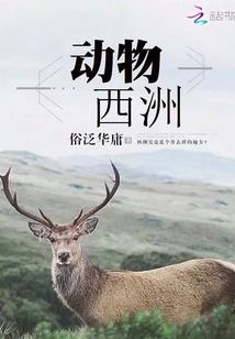 简单的幼儿音乐游戏