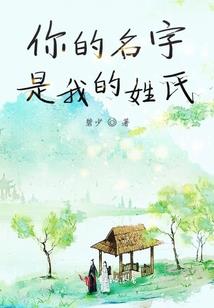迪尔王者