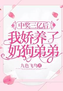 桥破解版