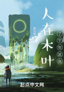 巫师打完mod