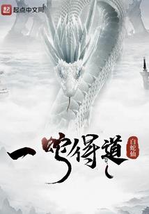 小乌龟王者