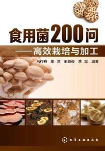 我的世界怎么合成铁质
