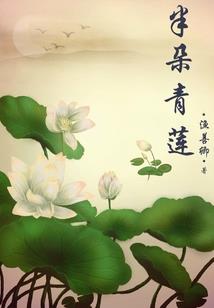 选车牌号整人游戏答案