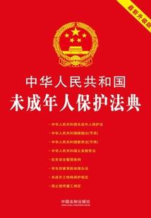 格式一样游戏名字