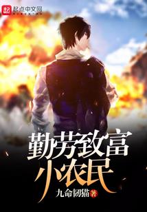 我的世界手工公交卡包