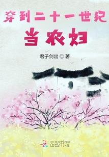 天珠系列游戏
