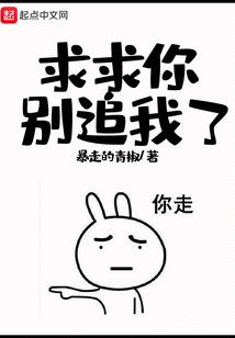 法环 装备图鉴