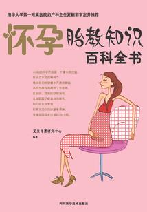 寻侠英雄传飞贼