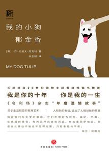 花羽梦幻西游