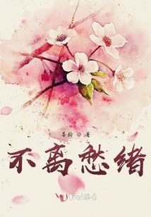 合金装备真人版