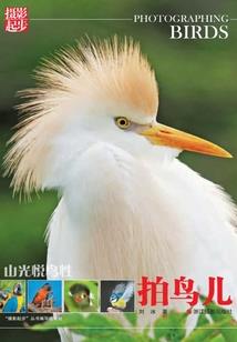 小若若怪兽2破解版