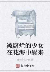 属性攻击属性防御