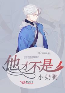 island游戏