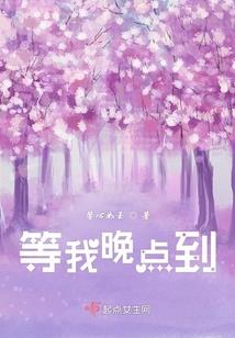 dnf现在哪个职业好
