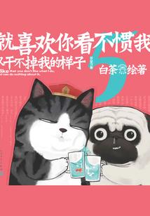 小牛升级攻略