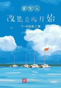 宝可梦传说电击魔兽配招