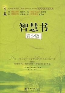 校本游戏
