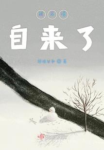 所有中国模拟器破解版