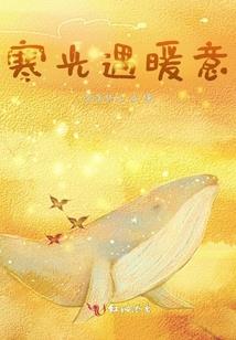 我的世界糖糖光速限流