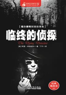 荒野探索钻石