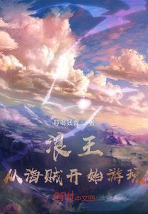 网卡属性 高级