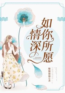 造梦5全部装备图鉴