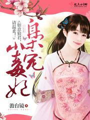 战场兄弟打野红色装备