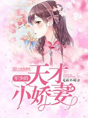 荒野之息三个宝石座