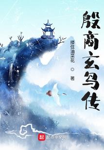 塞尔达与荒野之息