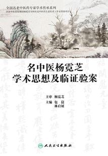飞的装备