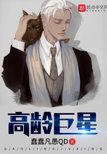 梦幻西游17段多少钱
