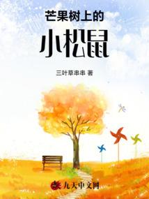 荒野之息琥珀