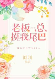 vn原计划皮肤