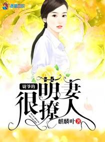 隋唐英雄5疼爱