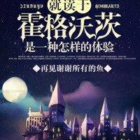 韩国电影职业拳击比赛