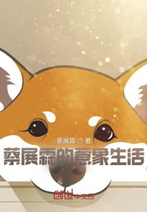 阴阳师周年庆多少抽